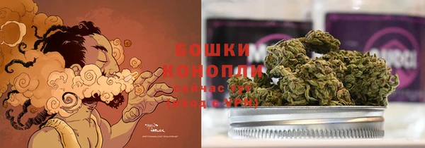 гидропоника Белоозёрский