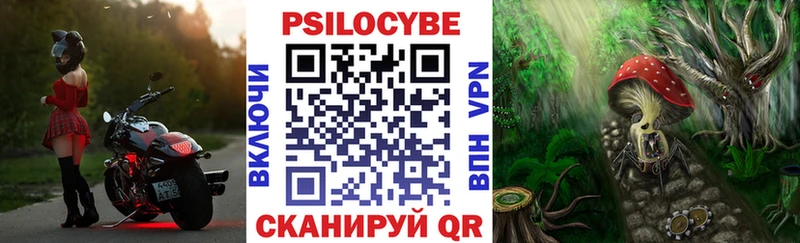 кракен зеркало  Буинск  Псилоцибиновые грибы мухоморы 